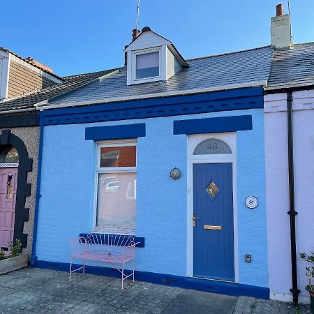 Cowrie Cottage Норт-Шилдс Экстерьер фото